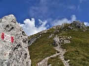 46 Sul sent. 530 per Cima Alben